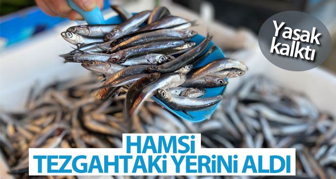 Yasak kalktı hamsi tezgahtaki yerini aldı