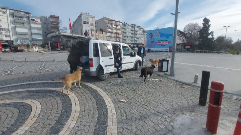 Polisler kısıtlamada sokak hayvanlarını besledi
