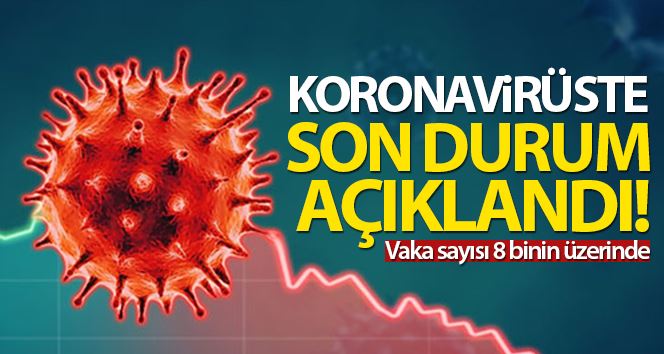  Türkiye’de son 24 saatte 8.636 koronavirüs vakası tespit edildi