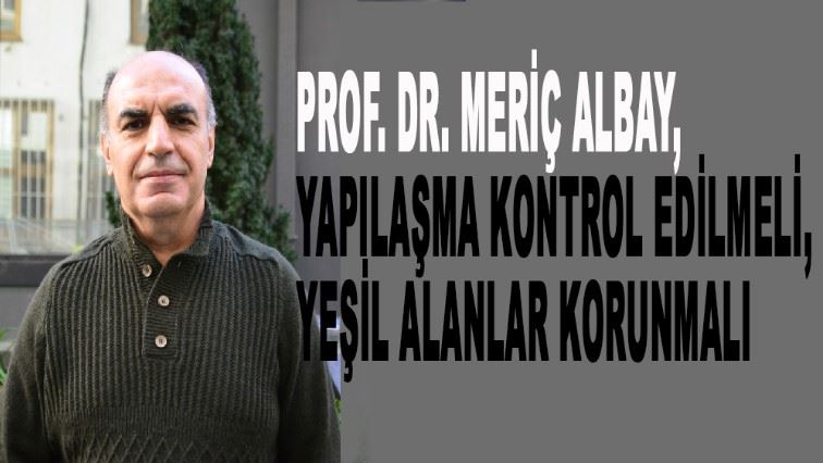 Prof. Dr. Meriç Albay