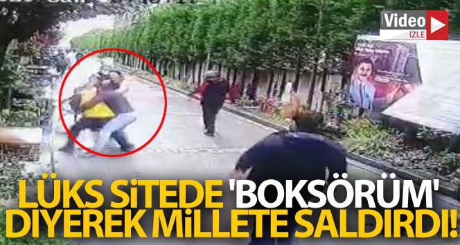 (Özel) Lüks sitede ’boksörüm’ diyerek millete saldırdı