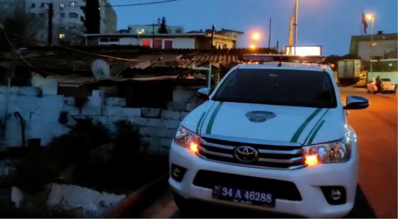 Köpeğini ölüme terk edip taşındı
