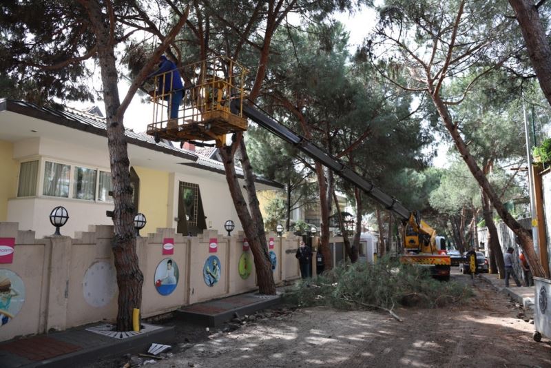 Kartal Belediyesi Park ve Bahçeler Müdürlüğü’nden yaz seferberliği
