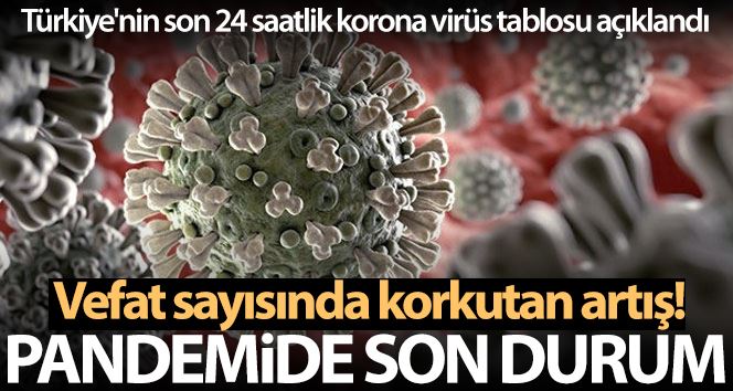 Son 24 saatte korona virüsten 318 kişi hayatını kaybetti