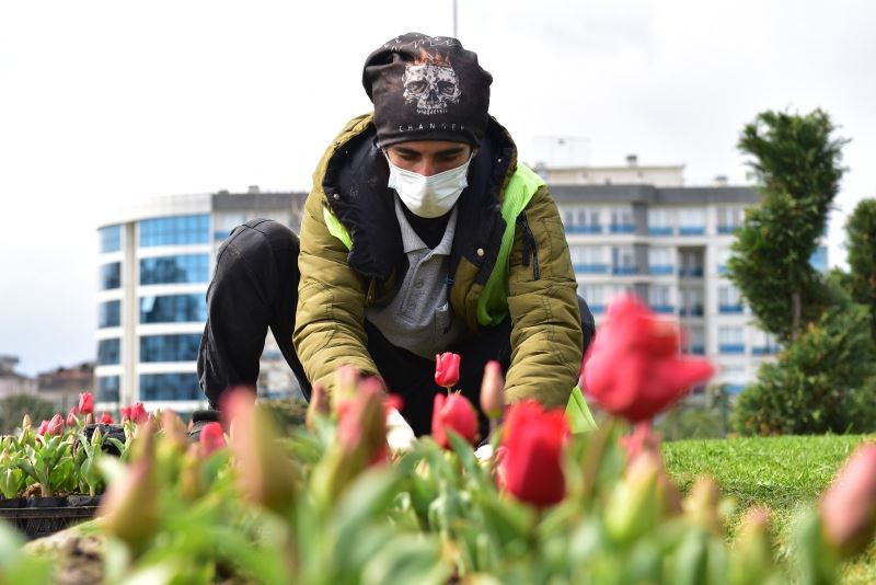 Tuzla lalelerle gelin gibi süsleniyor
