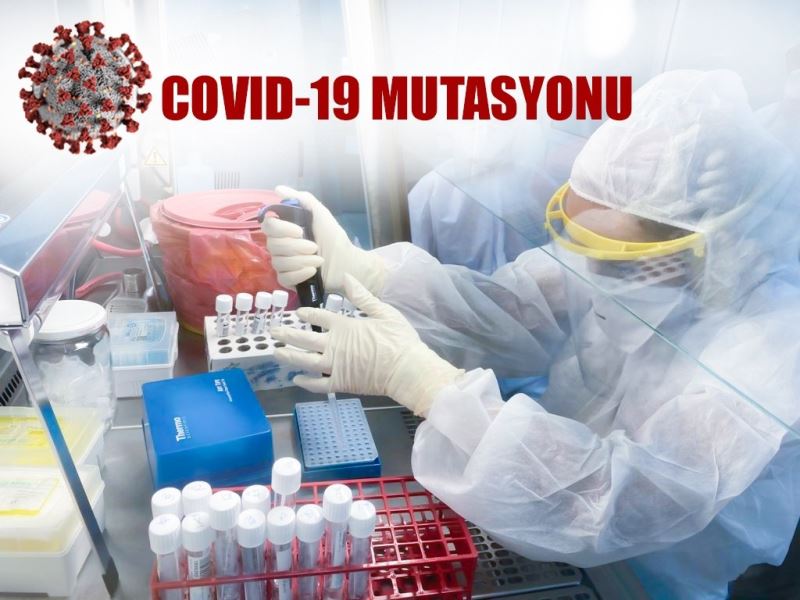 KKTC’de SARS-CoV-2’nin aşıya dirençli Güney Afrika ve Brezilya varyantlarına rastlanmadı
