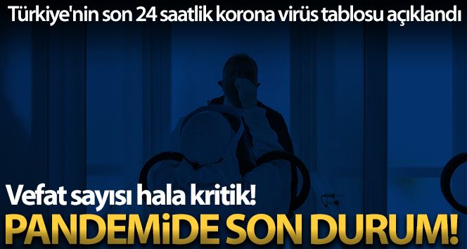 Son 24 saatte korona virüsten 341 kişi hayatını kaybetti