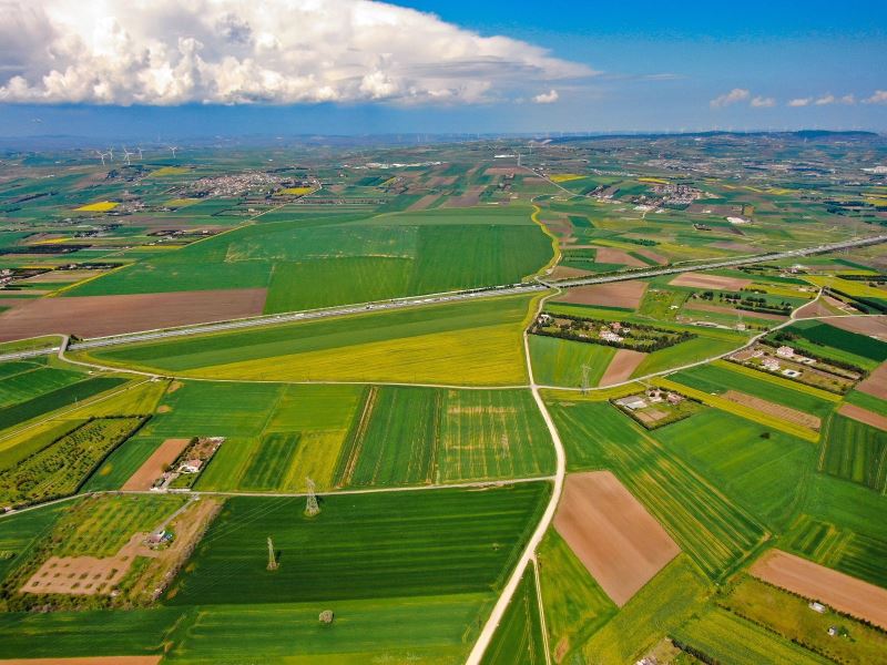 Altın sarısı Kanola tarlaları havadan görüntülendi
