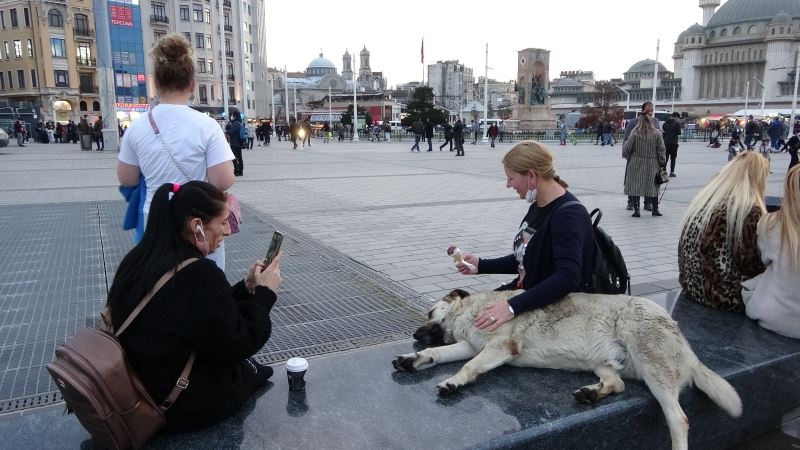 Taksim’de köpeğin turistlerle dondurma keyfi