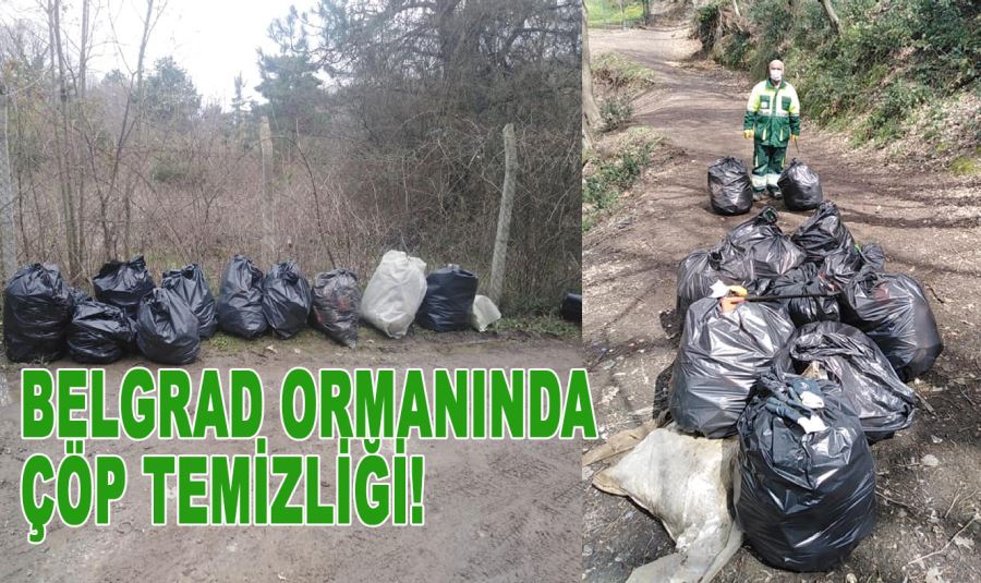 Belediye Ekipleri Belgrad ormanında çöp topladı