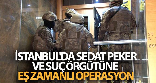 İstanbul’da Sedat Peker ve suç örgütüne eş zamanlı operasyon