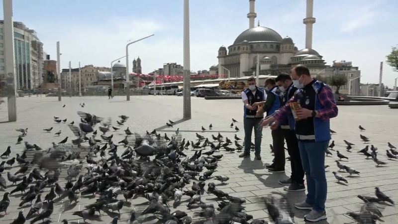 Taksim meydanı 1 Mayısta kuşlara kaldı