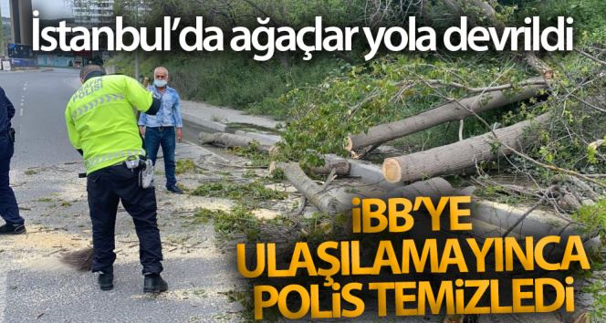 (Özel) İstanbul’da ağaçlar yola devrildi: İBB’ye ulaşılamayınca polis temizledi