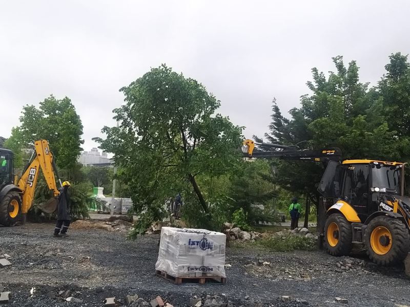Beylikdüzü’nde belediye ekiplerinin 160 ağacı söktüğü iddiası tepki topladı
