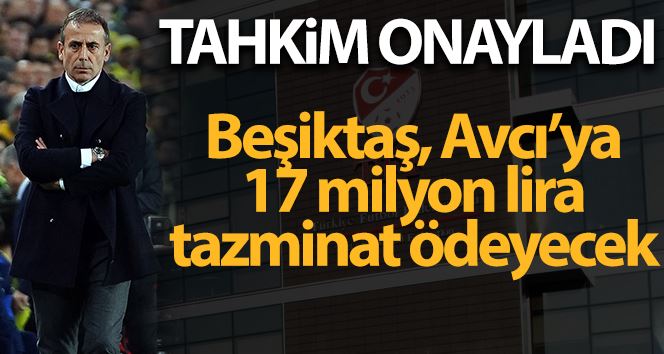 Beşiktaş eski Teknik Direktörü Avcı
