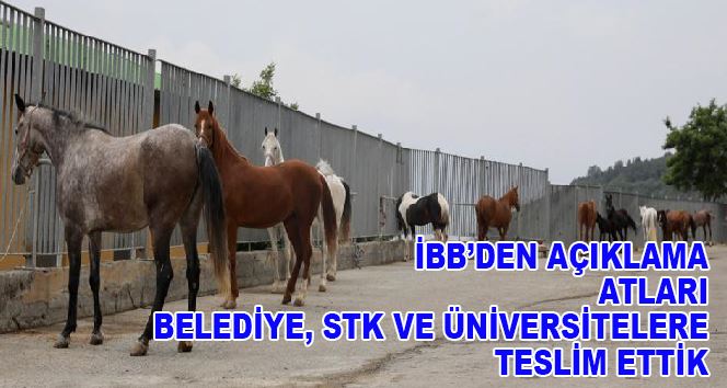 AK Parti Atları sordu İBB Cevapladı