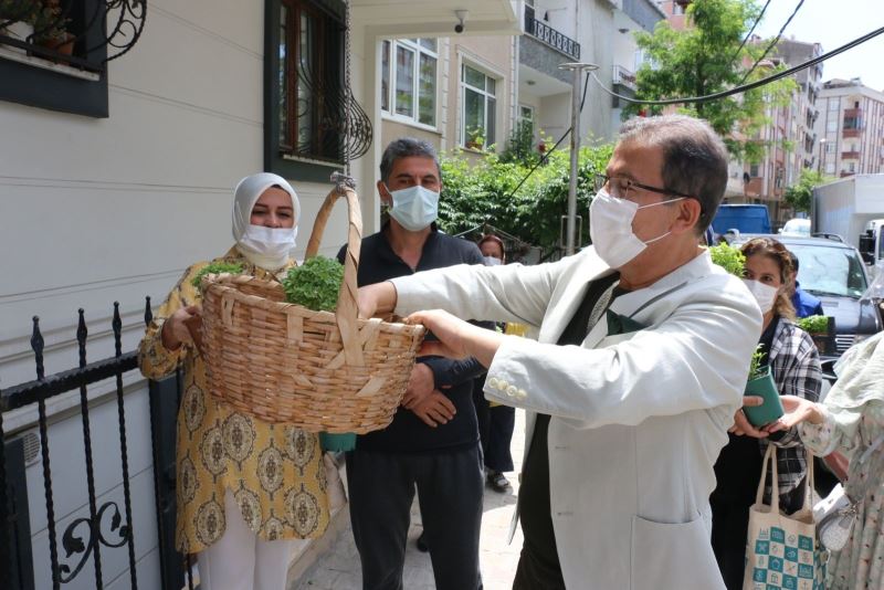 Fesleğen dağıtımı Çırçır ve Esentepe Mahalleleriyle devam etti
