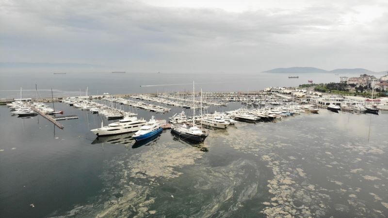 Pendik Marinada denizi kaplayan deniz salyaları havadan görüntülendi
