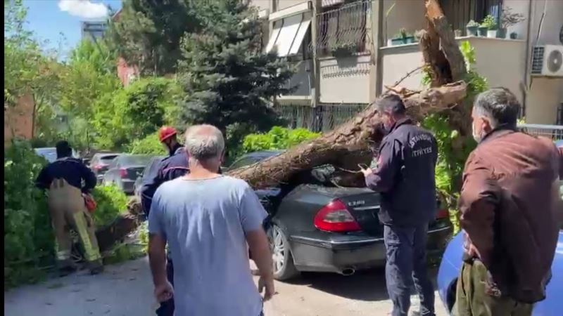 Kadıköy’de otomobillerin üzerine ağaç devrildi
