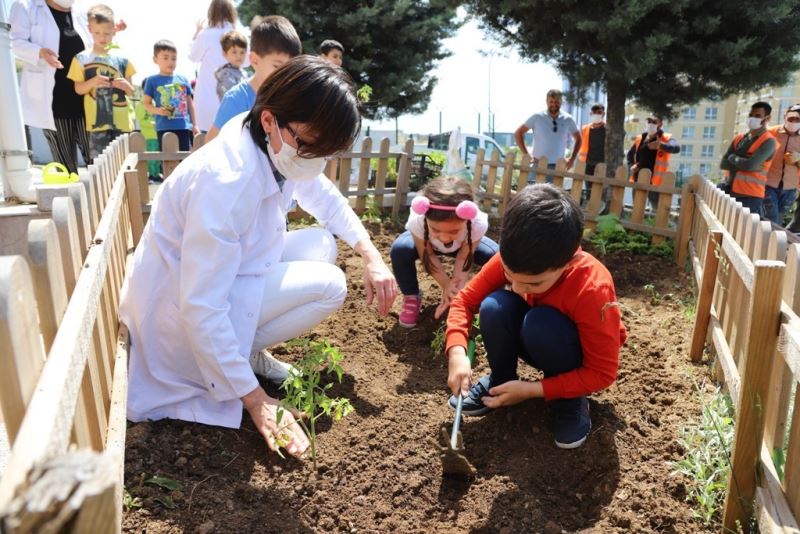 Kartallı minikler, yerli ve organik tarımın önemini hobi bahçelerinde öğreniyor
