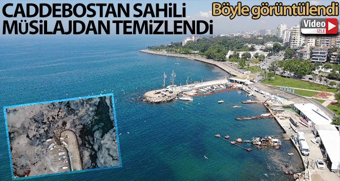 Caddebostan sahili müsilajdan temizlendi