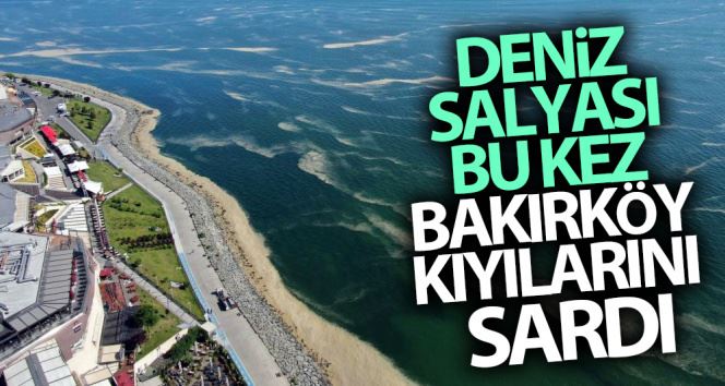 Deniz salyası bu kez Bakırköy kıyılarını sardı