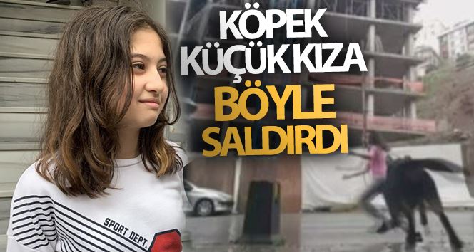 (Özel) Eyüpsultan’da köpek kız çocuğuna saldırdı