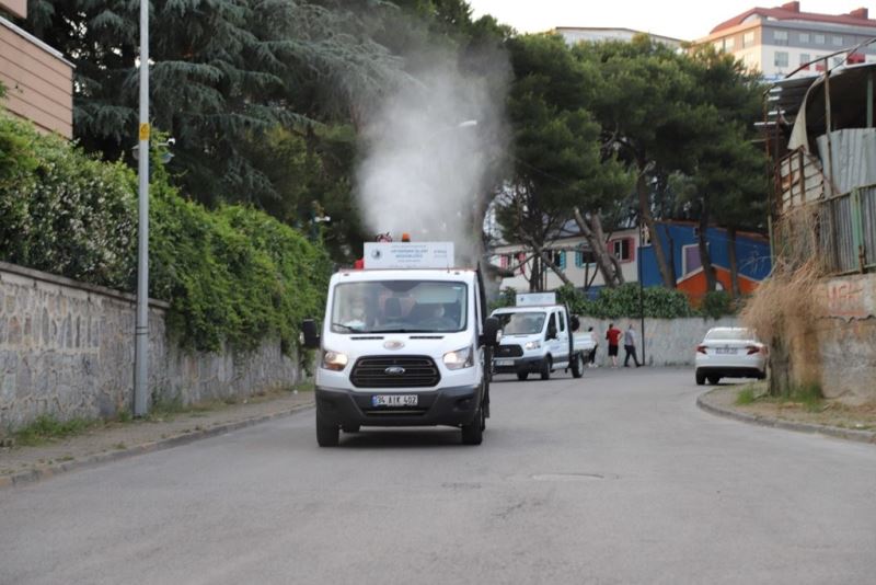 Kartal’da uçkun ve sivrisinekle mücadelede ilaçlama çalışmaları başladı
