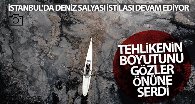 (ÖZEL) İstanbul’da deniz salyası istilası devam ediyor
