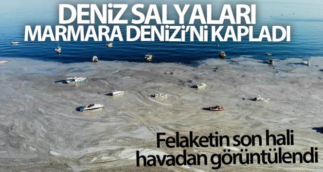 Felaketin son hali havadan görüntülendi
