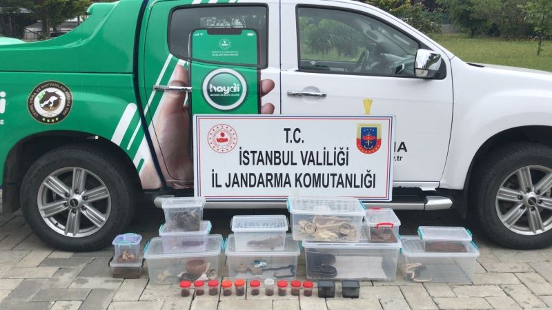 Yasa dışı hayvan ticaretine jandarma engeli