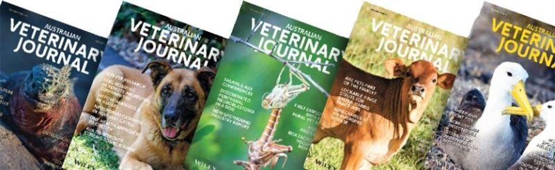 Covid-19 olan evcil kediyle ilgili makale Australian Veterinary Journal’da yayınlanmak üzere kabul edildi
