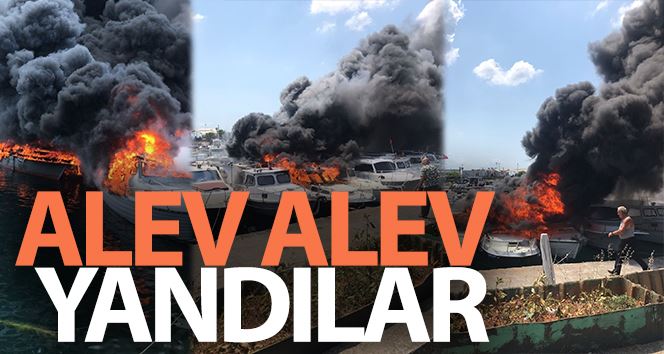 Dragos marinada tekneler alev alev yandı