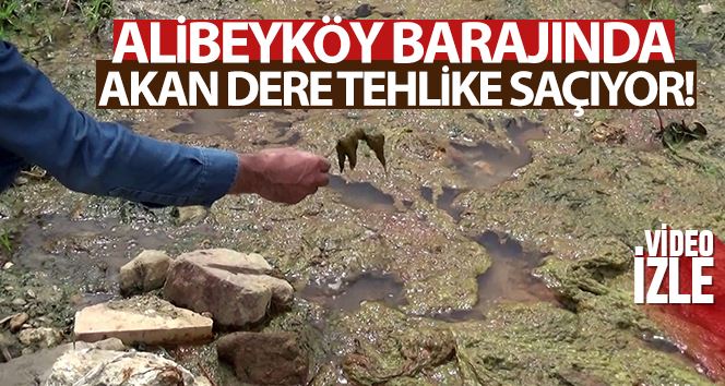 Sultangazi’de Alibeyköy barajına akan dere tehlike saçıyor