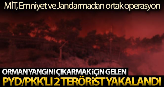 Orman yangını çıkarmak için gelen PYD/PKK
