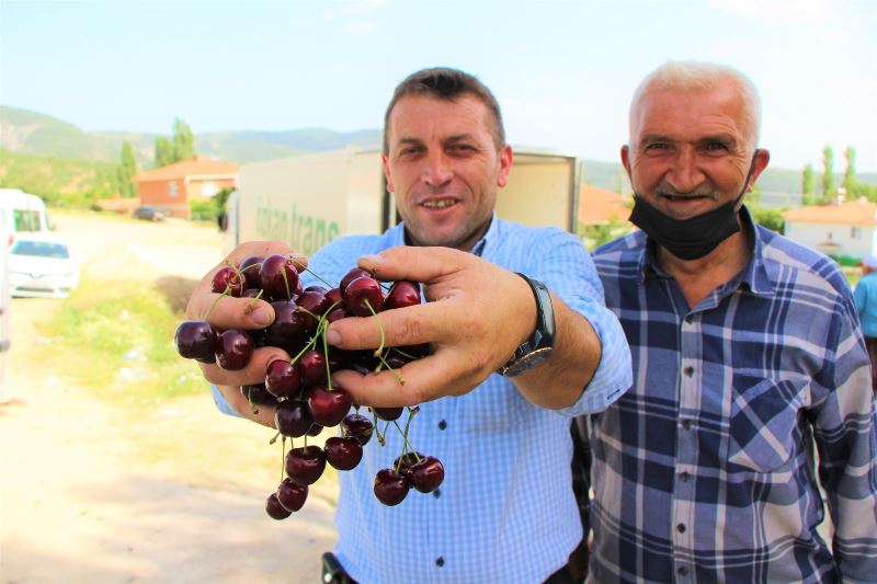 Amasya kirazı Avrupa ve Rusya’da ağızları tatlandırıyor
