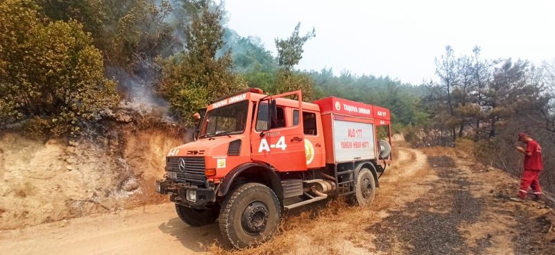 Taşova Orman İşletme Kadirli’de

