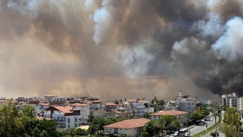 Bağcılar’dan Manavgat’a 20 bin adet fidan bağışı
