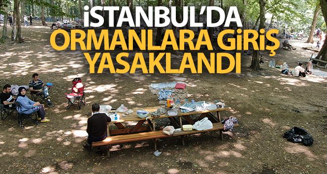 İstanbul’da ormanlara giriş 1 ay boyunca yasaklandı
