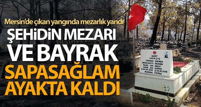 Mezarlık yandı, şehidin mezarı ve bayrak sapasağlam ayakta kaldı