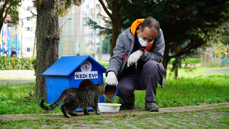 Kağıthane’de yavru kediler için seferber olundu
