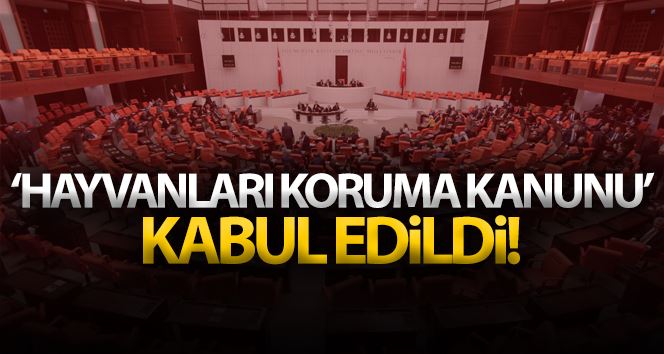 Hayvanları Koruma Kanunu teklifi komisyonda kabul edildi