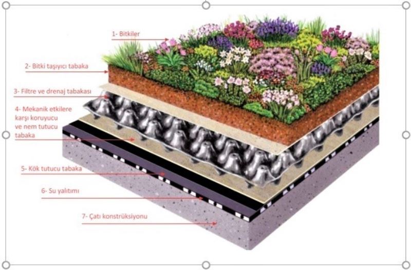 İklim koşullarına en uygun yeşil çatı tasarımları belirlenecek
