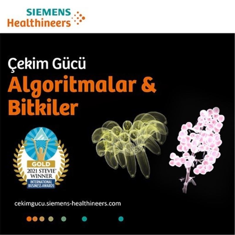 Algoritmalar ve Bitkiler Sergisi, Stevie Uluslararası İş Ödülleri’nde altın ödül kazandı
