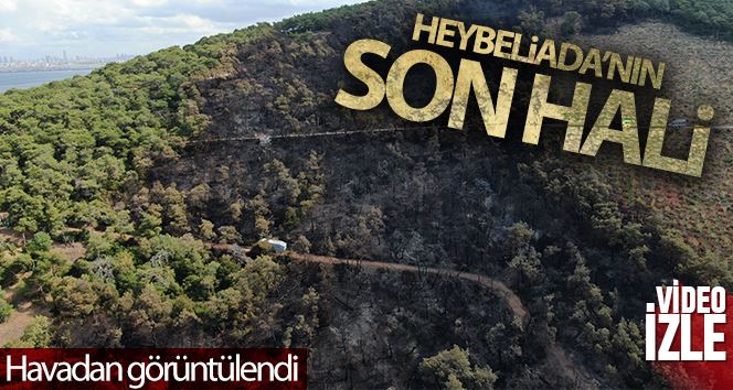 Heybeliada’da soğutma çalışmaları havadan görüntülendi