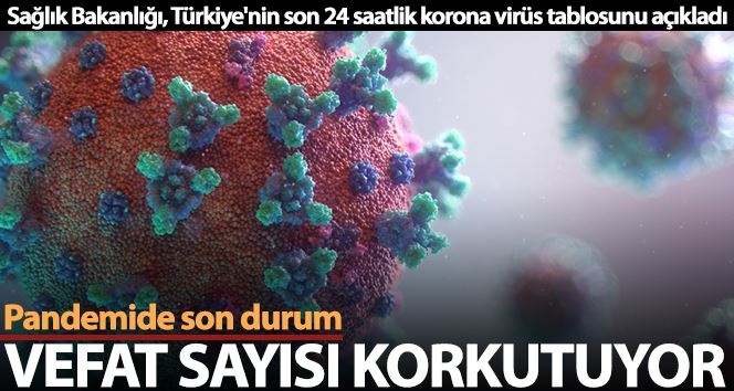 Son 24 saatte korona virüsten 232 kişi hayatını kaybetti