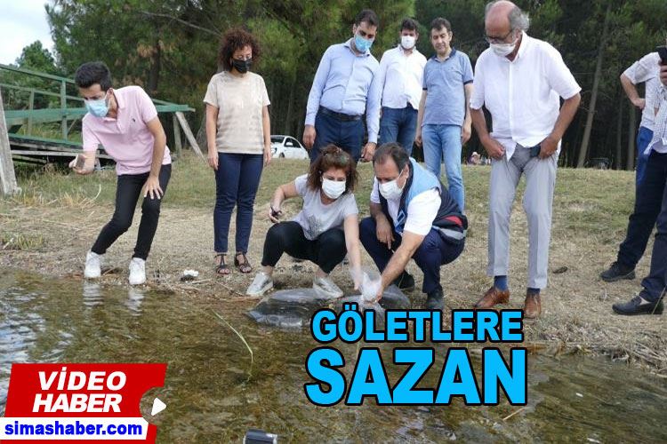 İstanbul’da 14 gölette 573 bin 500 adet sazan yavrusu bırakıldı