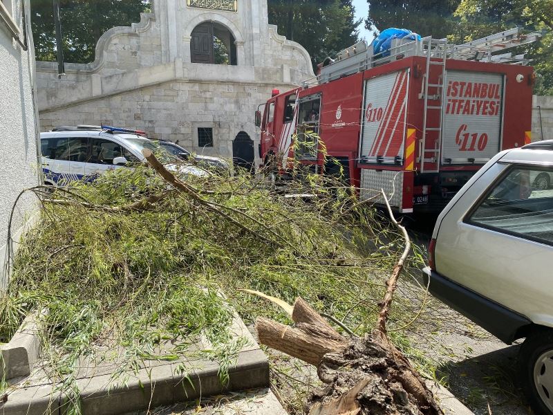 Üsküdar’da kökü çürüyen söğüt ağacı otomobil üzerine devrildi
