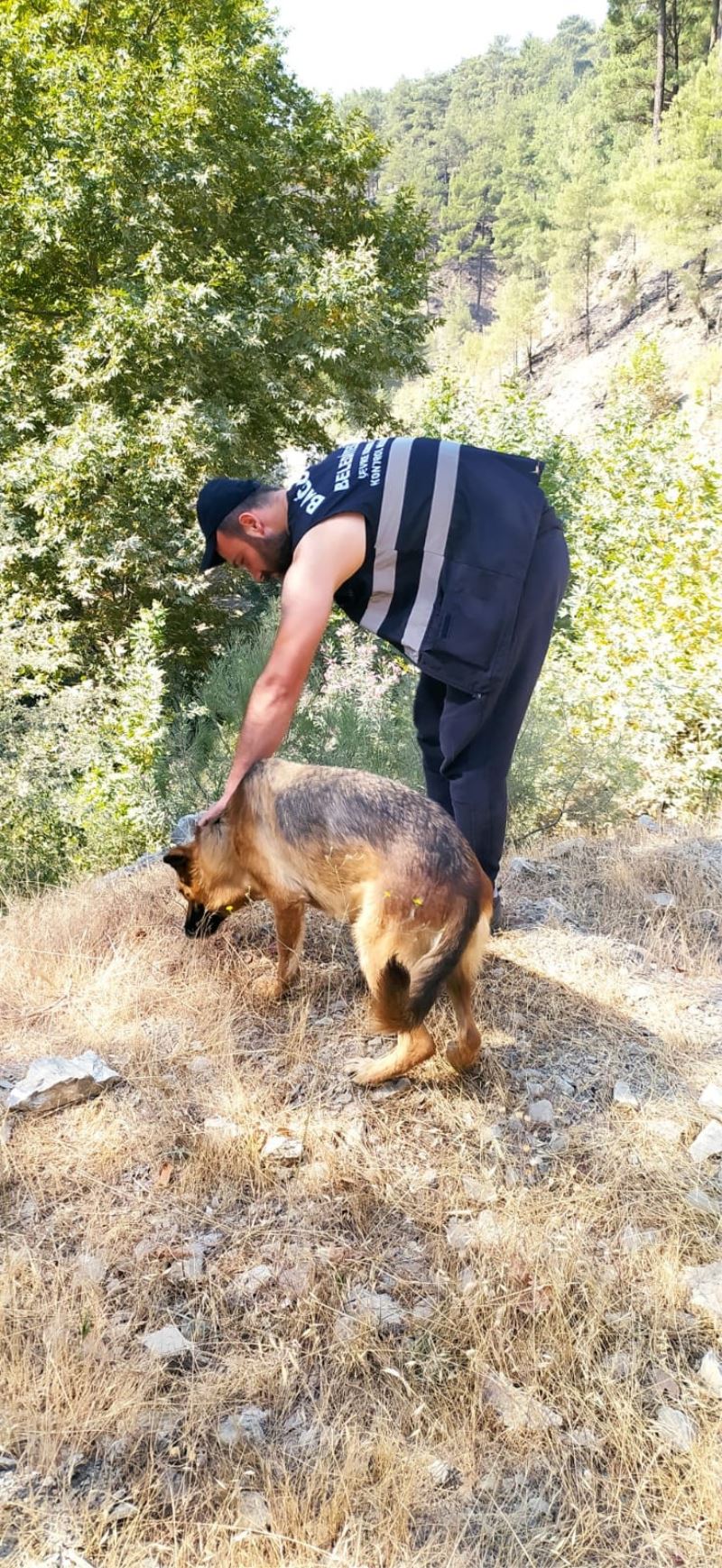 Yangın görevlisi, yemeğini köpekle paylaştı
