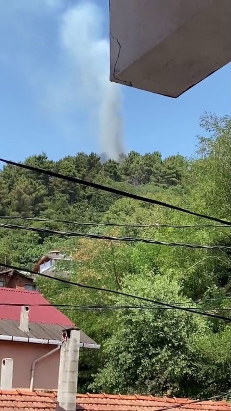 İstanbul Valiliği’nden Beykoz’daki orman yangınına ilişkin açıklama
